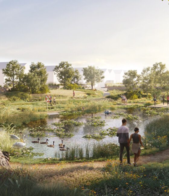 Langarth Cgi Northern Pond