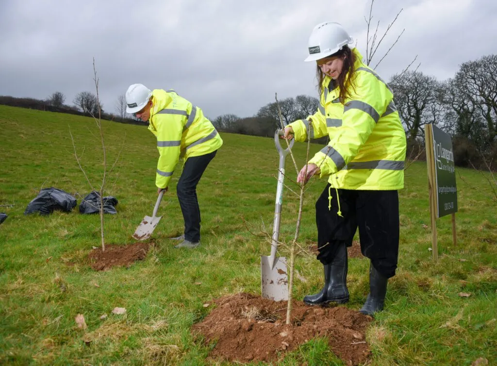 Langarthtrees013 1024x754