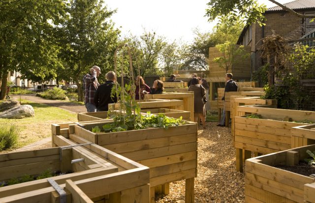 Allotment 06