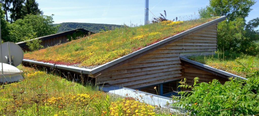 green roof