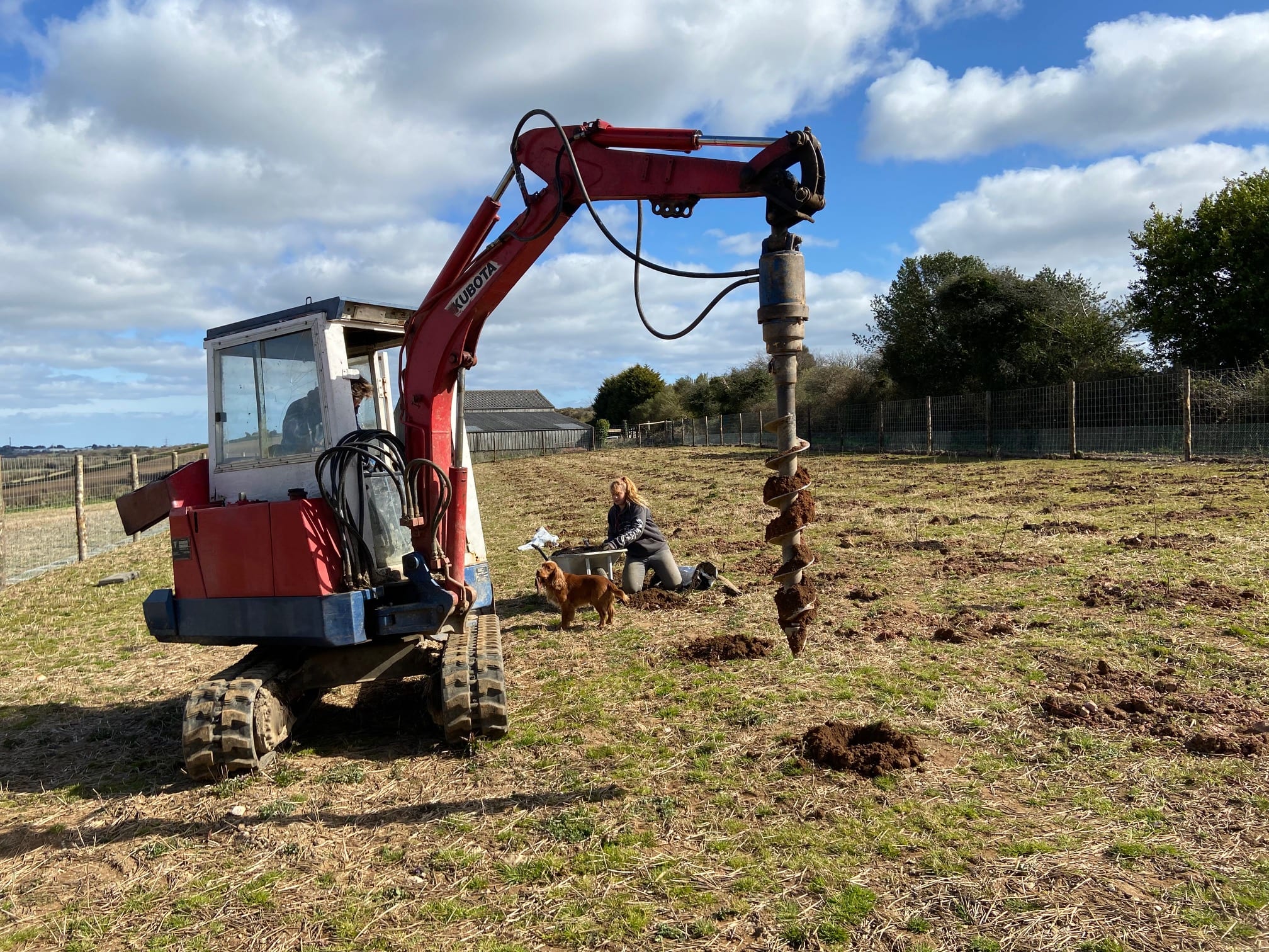 Creating a tree nursery at Langarth Garden Village