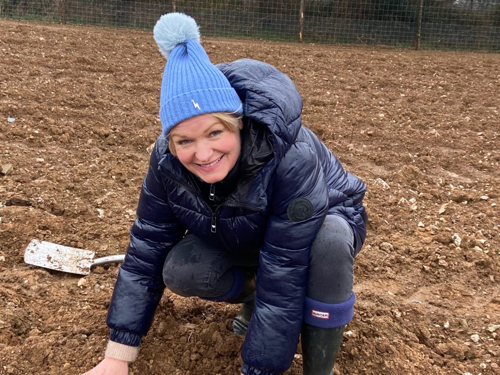 tree planting 3