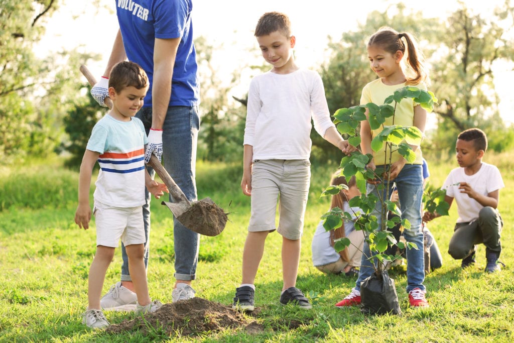 tree planting 5