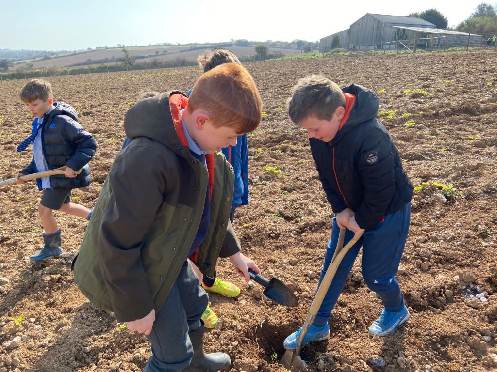 tree planting march 2022 1