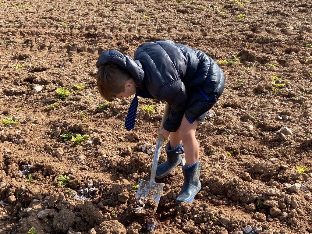 tree planting march 2022 2