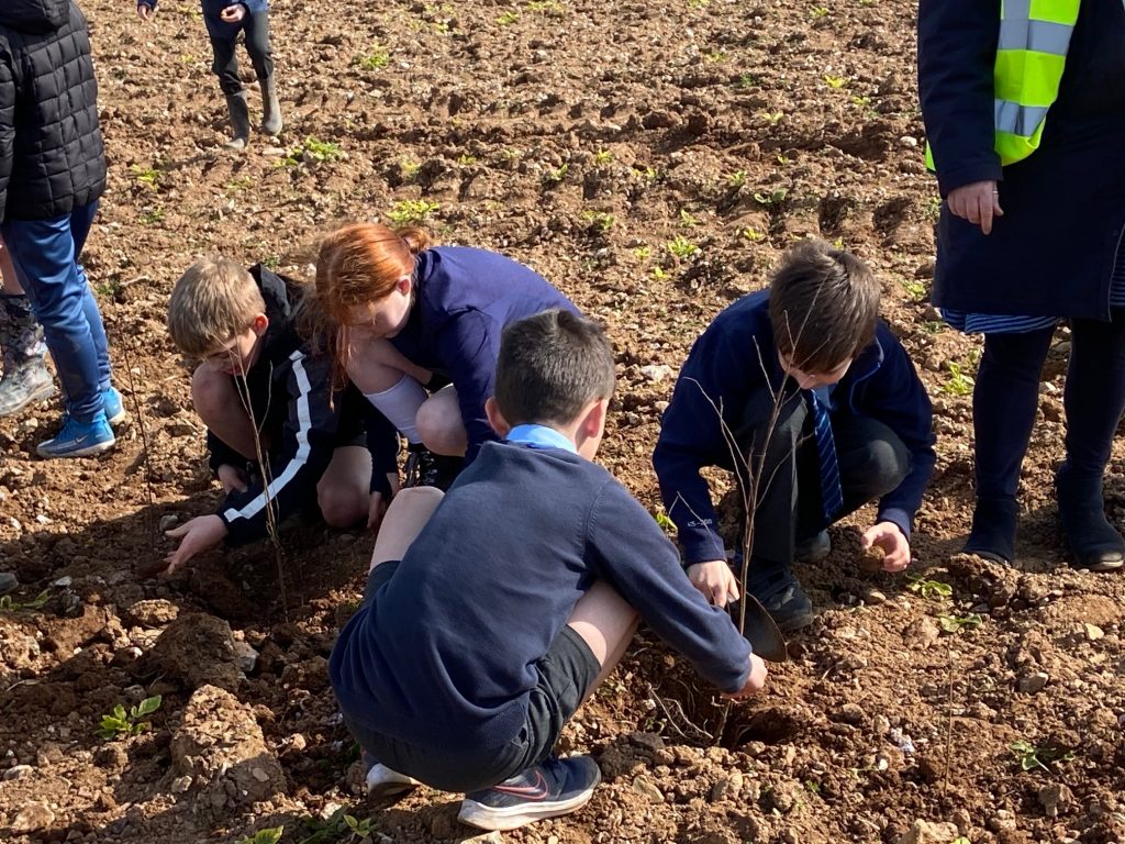 tree planting march 2022 3