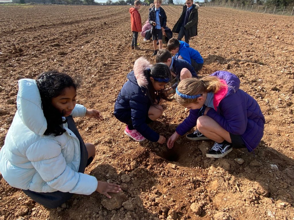 tree planting march 6